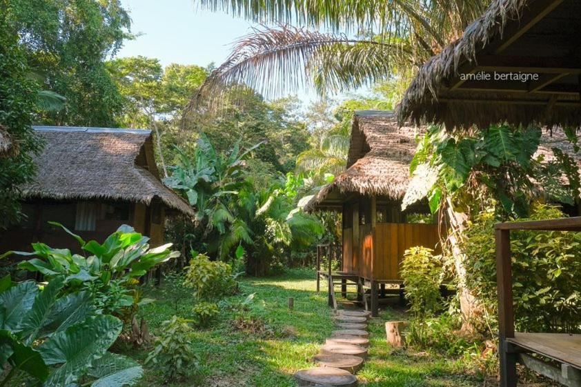 Ecolucerna Lodge Tambopata Puerto Maldonado Exterior photo